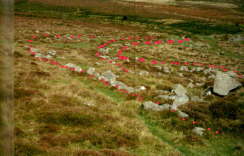 The curvi-linear earthworks mark the line 
of the original track into the first quarry B. Where the red lines that mark 
the earthworks converge is Points P.