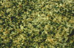 Geological Overview of Dartmoor Granite