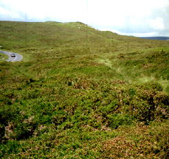 Mound from old road following old route of tramway